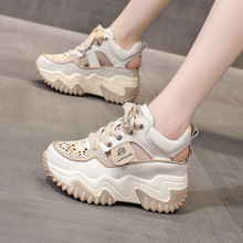 ^U՛ЬŮļ2024¿W͸⴩ŮЬɸ\ϵЬ