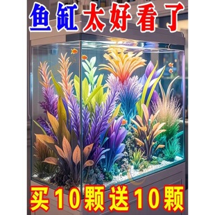 R¿~bˮݡٻٲˮ쾰Ʒײ2026