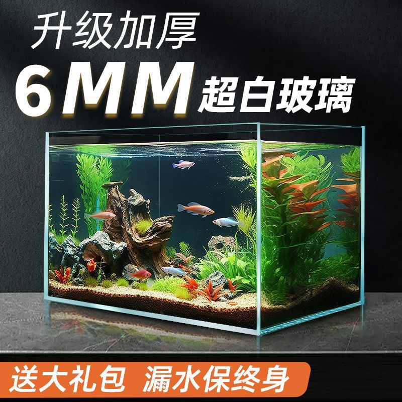 Ultra-white fish tank glass tank ecological living room small…
