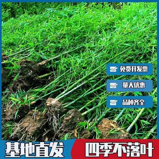 �������硿�ϱ����ͺ��������������_�h�������ļ�����G�����