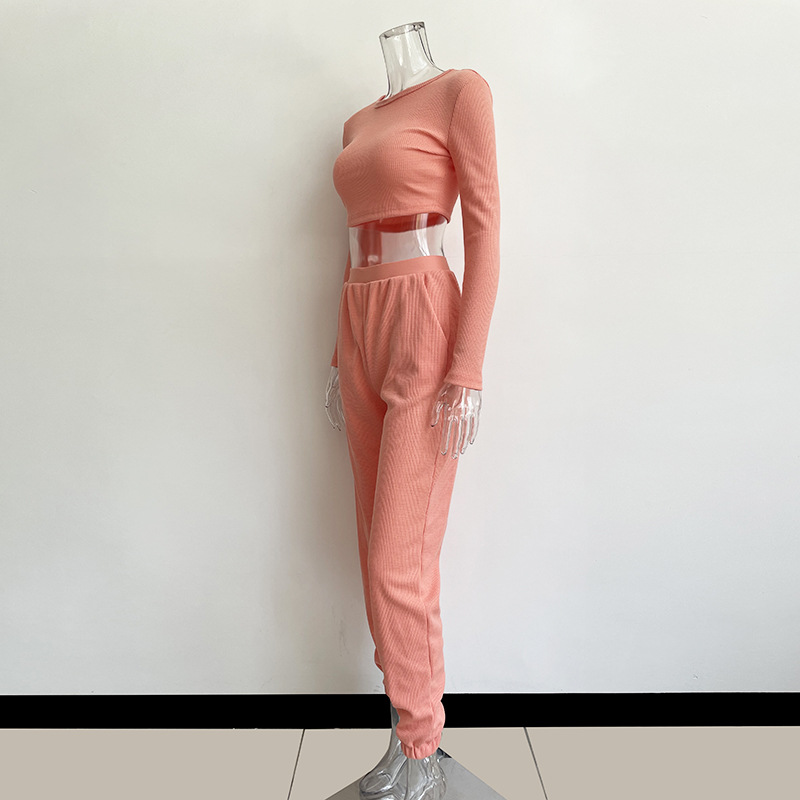 2pcs Sets Solid Long Sleeve Crop Top + Loose Harem Pants