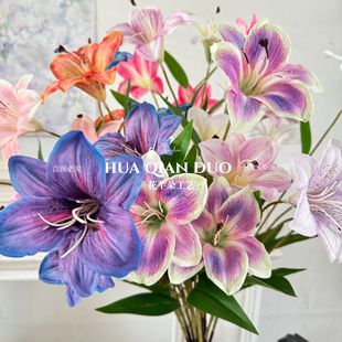 3D��ӡ��ݰٺϷ��滨�L֧3�^�Ƶ�ܛ�b��c�廨����쾰��ˇ�ٻ�