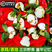 �����M��Ұ�����r���ݲ�����ˮ��������i������S���]