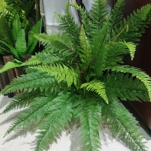 D߃Gֲާֲﱳ晻cbָв˹ݴ