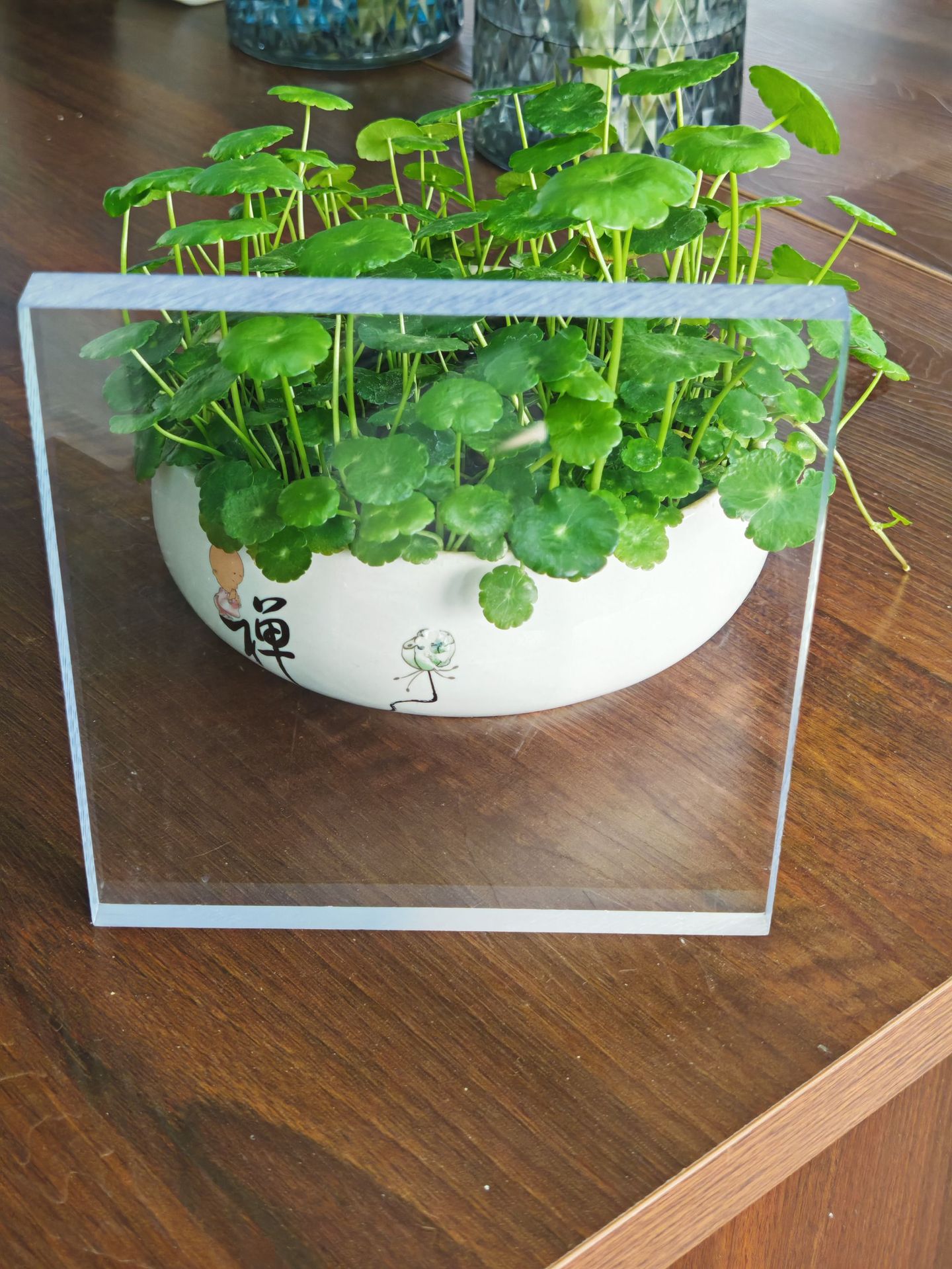 18657d109eec342d456b69a81c0815