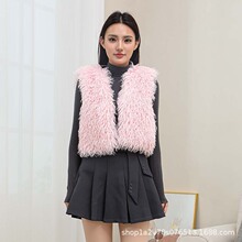 2025秋冬季新款滩羊毛马甲女外搭托卡皮草背心羊羔绒马夹外套年轻