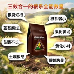 根腐れ、柔らかい腐った茎、苗の初期の死んだ苗、硬い苗、青枯病、急速な発根、根の強化、土壌肥料の浄化