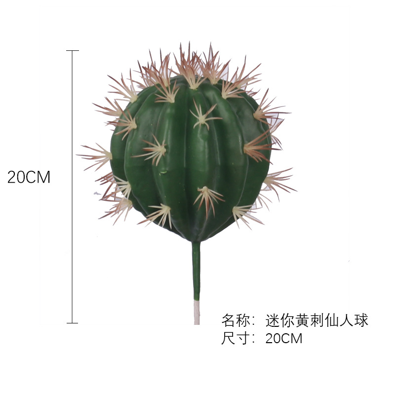 Planta artificial nórdica Cactus Pilar pequeña bola de cactus decoración de la ventana planta verde decoración del paisaje traje decoración del paisaje