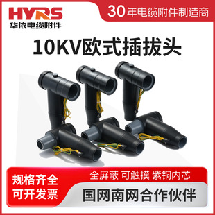 �A��HYRS 10kv�Wʽ����^ǰ����