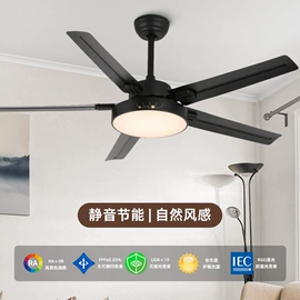 风扇灯;吸顶灯