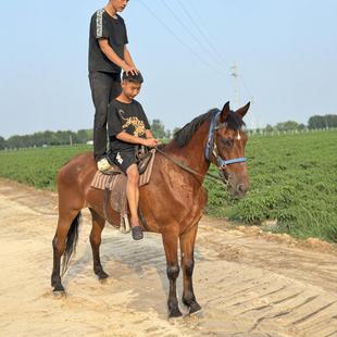 ���R����Bֳ���ػ��յ±����R�M���O���m���R�Z���T���R�g�̌W
