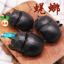 ��؛�����100�� ʺ���� �}���x ��܊ ��ˮ�����x