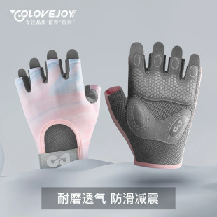 ���I��ָ�\�����׸ߏ��p�����ķ����T���������w�Ɖ|�Ӻ�������