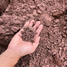 �S�����l�w���L��ʯ�{�����S��ľ�Ұ��������������m���軨�w����