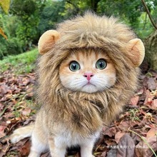 �ɐ���tñ�����ö����b��{���^�h�������W����؈�^�����؈؈