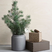 �Gֲ���豱�W���Ԅ���ˮ�ຆ�s�҃�������ֵ����͸����������