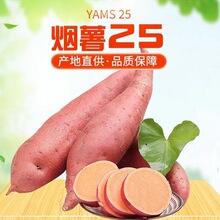 正宗烟薯25号山东蜜薯糖心红薯流油沙地番薯山芋地瓜烤薯5斤