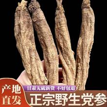 �ش�������Ұɽ���������Ƶ��βص��θɻ�������ˮ�����