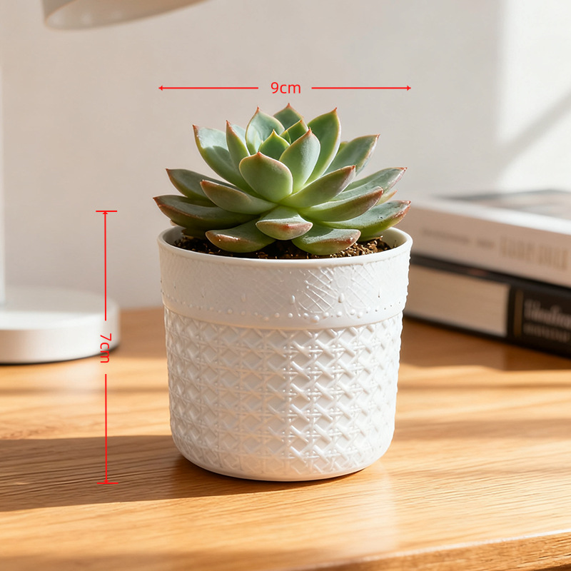 Pequeña maceta de plantas verdes delicada maceta de plantas domésticas no porosas maceta de plástico moderna mini maceta de escritorio