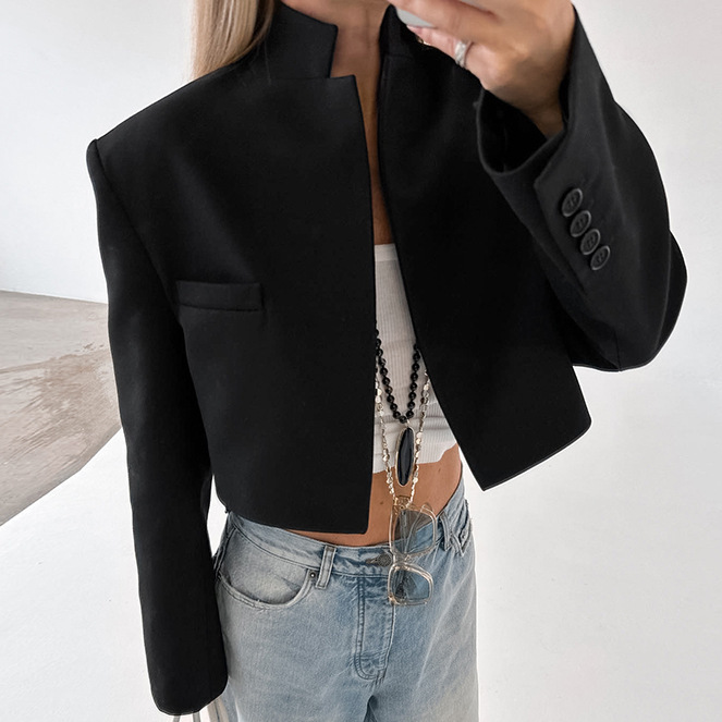 European and American high-end small collar versatile fashion short coat 2024 autumn and winter new cross-border niche suit top