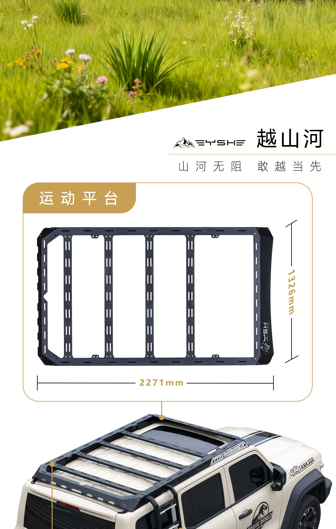 Roof Rack Modified Expansion Platform Side Ladder Side Armor for Tank 300 Black Panther Series