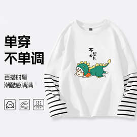 儿童装男童长袖T恤2025春装新款中大童立体印花宽松休闲上衣
