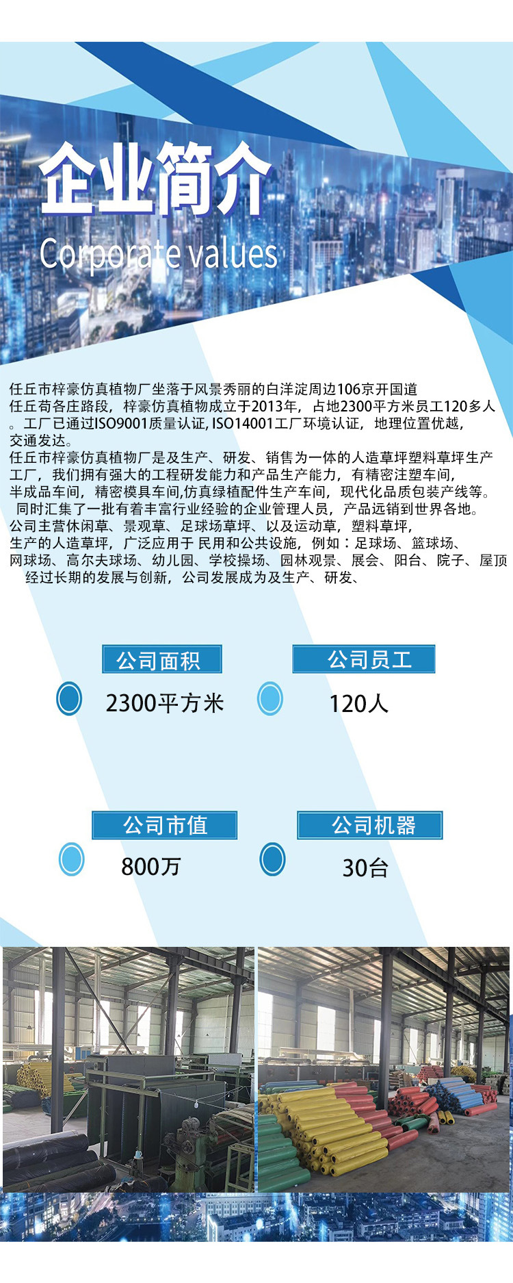 仿真树植物假绿植盆栽客厅大型旅人蕉摆件室内装饰天堂鸟仿真盆景详情12