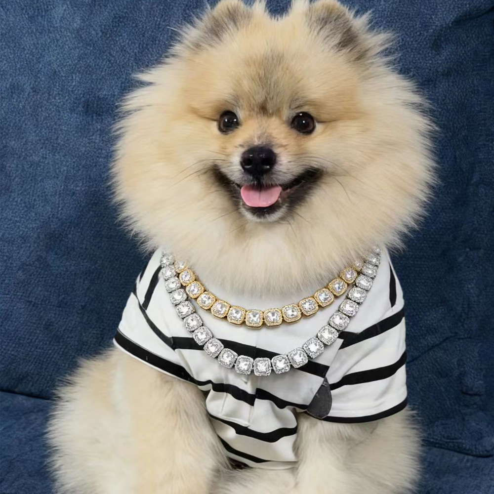 Collar de diamante para mascotas, gato, collar de diamante de doble capa, perros, joyas de diamante, joyas para mascotas de lujo ligero