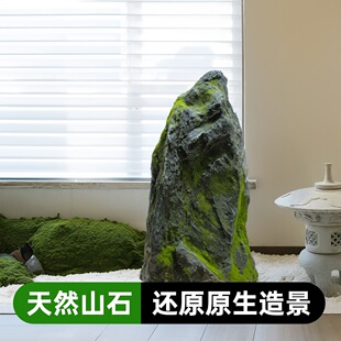 ����ʯ�^����ͥԺ��ؔ[���b���䓵��߼�ɽʯ�@�־��^�쾰���