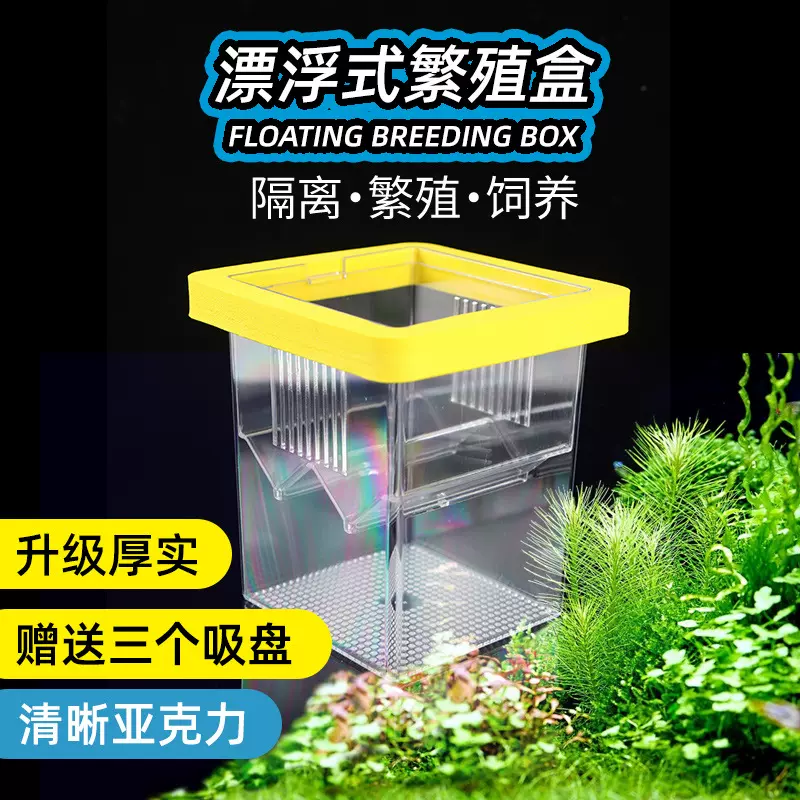 鱼缸孵化器孔雀鱼小型鱼苗漂浮隔离盒母鱼孵化盒悬浮式漂浮孵化盒