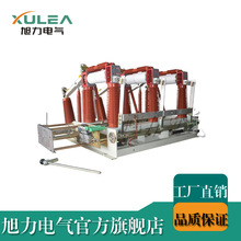 24KV户内高压真空负荷开关 FZN21-24侧装式