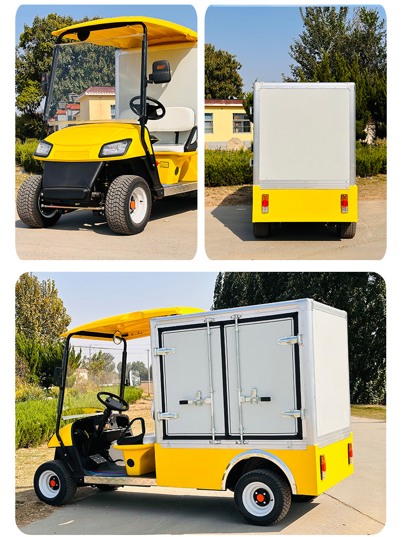 2-Seat Electric Golf Cart Scenic Tourist Sightseeing Car Food Delivery Car Electric Golf Cart