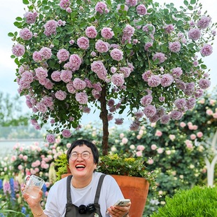 ��Ş���¼������{ɫ����ɫ��ɳ��ʯ�����¼���������