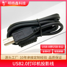 USB2.0ڴӡͶӰusbAתusbBͭŻ