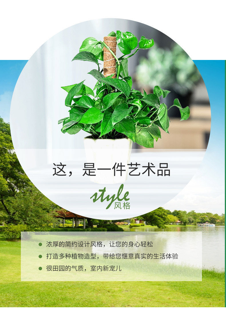 O1CN01HtI7HF1JM00NAozv3_!!2214660621013-0-cib.jpg?__r__=1667443238944