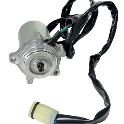 Honda Motosiklet Trx350Fe 00-06 üçün Starter Motoru 31300-Hm8-A51