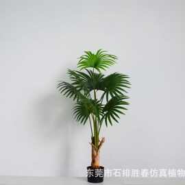 仿真蒲葵植物软装装饰假绿植盆栽摆件仿真加州蒲葵 扇葵棕榈树。