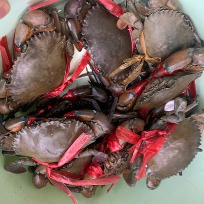 Crabs Scylla Fresh Crabs Hardshell Crab Fresh Myanmar Scylla Scylla One kilogram