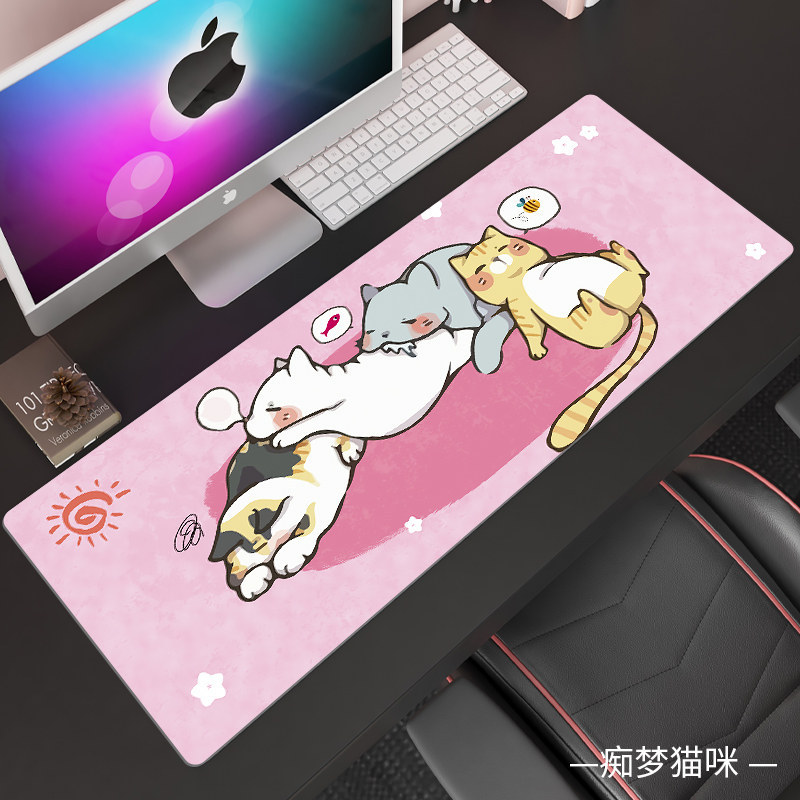 미친 꿈 고양이