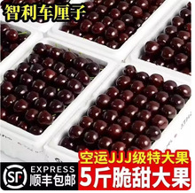 ����܇�������rˮ�����]5��Y���b���������ЋD�M�ڙ���3j4j�F؛