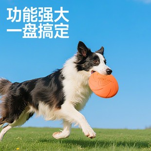 �w�P������ҧӖ������߅�����ý�ëِ������Ȯ�����w���������