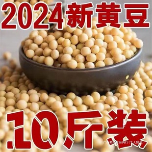 24�����S��5��10��|���S���r���ԷN��ȶ��{��ѿ���D�����