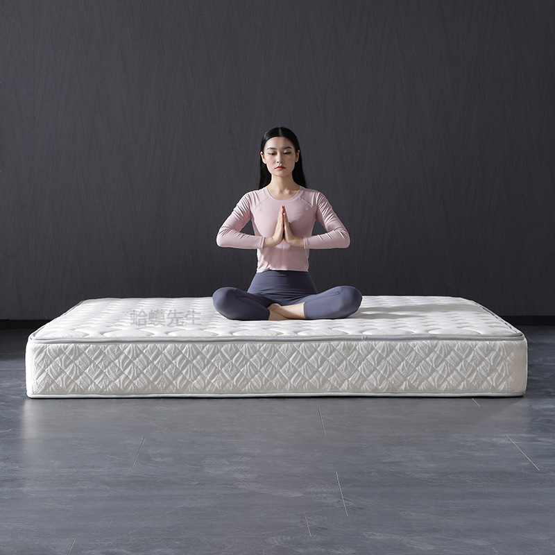 Late Autumn Furniture Ugly Duckling Mattress Hard Cushion Spine Protection Home Master Bedroom Simmons Independent Spring Soft and Hard Cushion