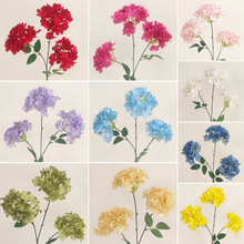 3�^������滨��c��Y�ñ����b����컨�zӰ�ٻ��ҾӲ廨���l