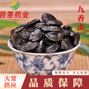 �����x�����x ������؛ �a��؛Դ ����ă� �����x