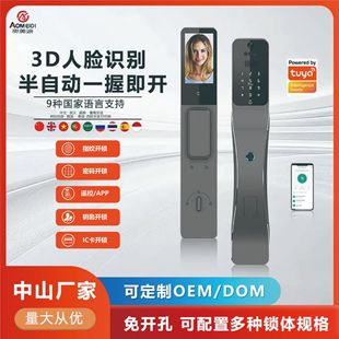 3D Face Graffiti Smart Lock Anti-theft Wooden Door Video Hold Fingerprint Lock Semi-automatic Password Lock