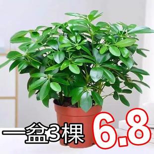 ����ľ�����҃ȿ͏d���Ի��ܰ˷���ؔ���_ľ�Gֲ�lؔ���ÿ͏d