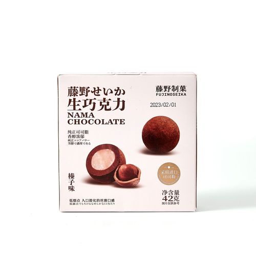 Tsubaki Confectionery Chocolate Box Gift Set Hazelnut Flavored Snack Pair with Gift