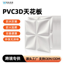 �羳���� 3D���w PVC ���� ��ˮ��ù�����b� ����걳�����N