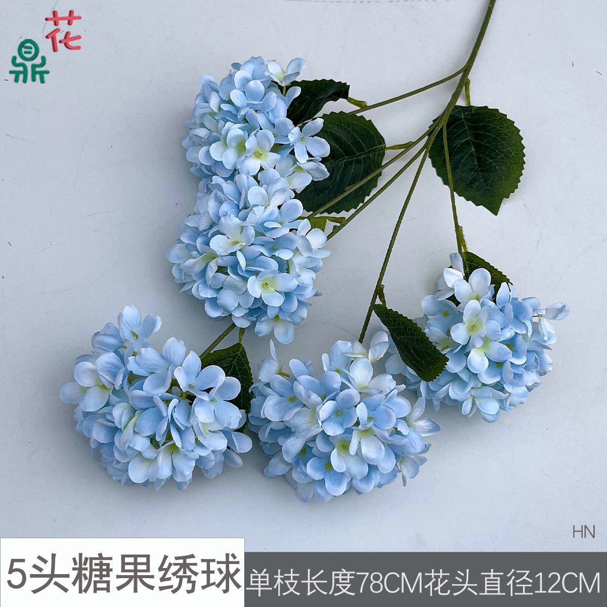 5구 캔디 수국 HN 연청색 잎 없음